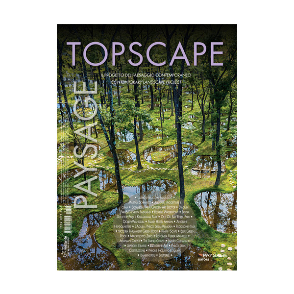 TOPSCAPE 46