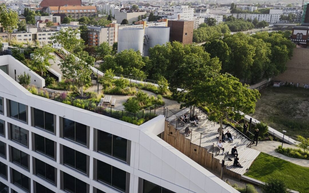 AERA GREEN ROOF SU TOPSCAPE 61