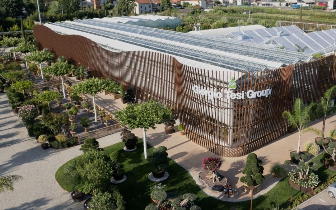 NATURART VILLAGE SU TOPSCAPE 61