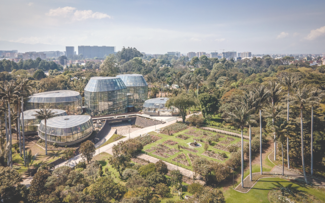 JARDÍN BOTÁNICO SU TOPSCAPE 63