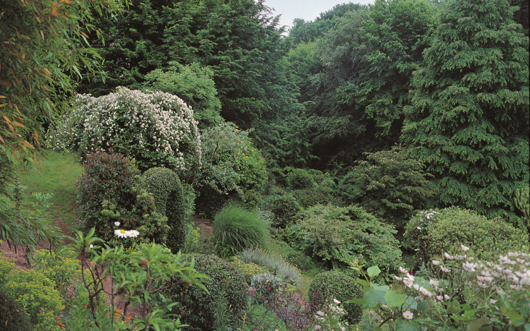 TOPSCAPE 63: UN SAPERE ECOLOGICO