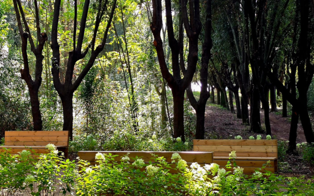 VILLA GLORI SU TOPSCAPE 63