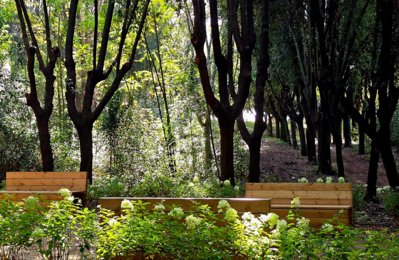 VILLA GLORI SU TOPSCAPE 63