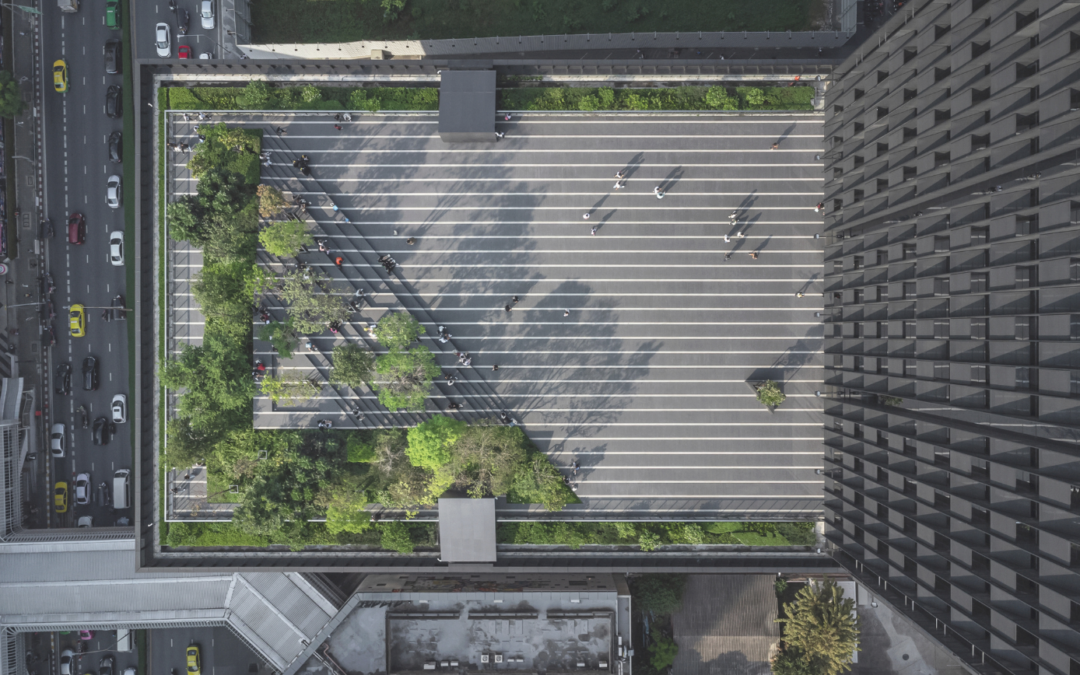 SU TOPSCAPE 63 SKY FOREST SCAPE