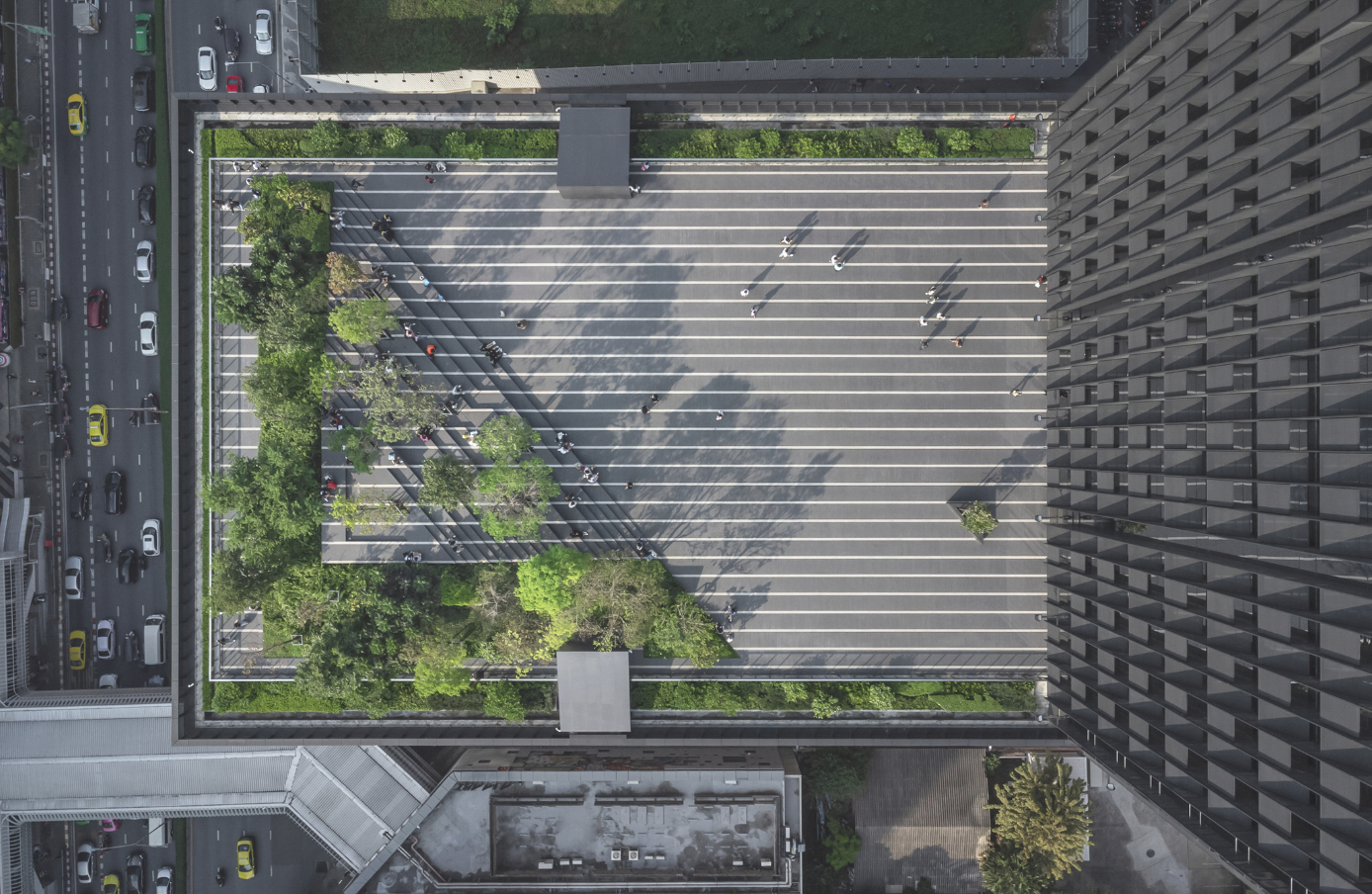 SU TOPSCAPE 63 SKY FOREST SCAPE