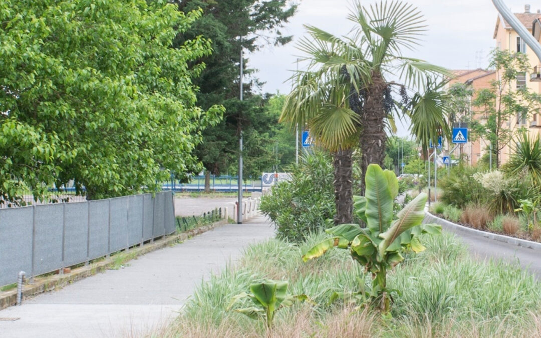 SU TOPSCAPE 64 AMADEI GARDEN STREET