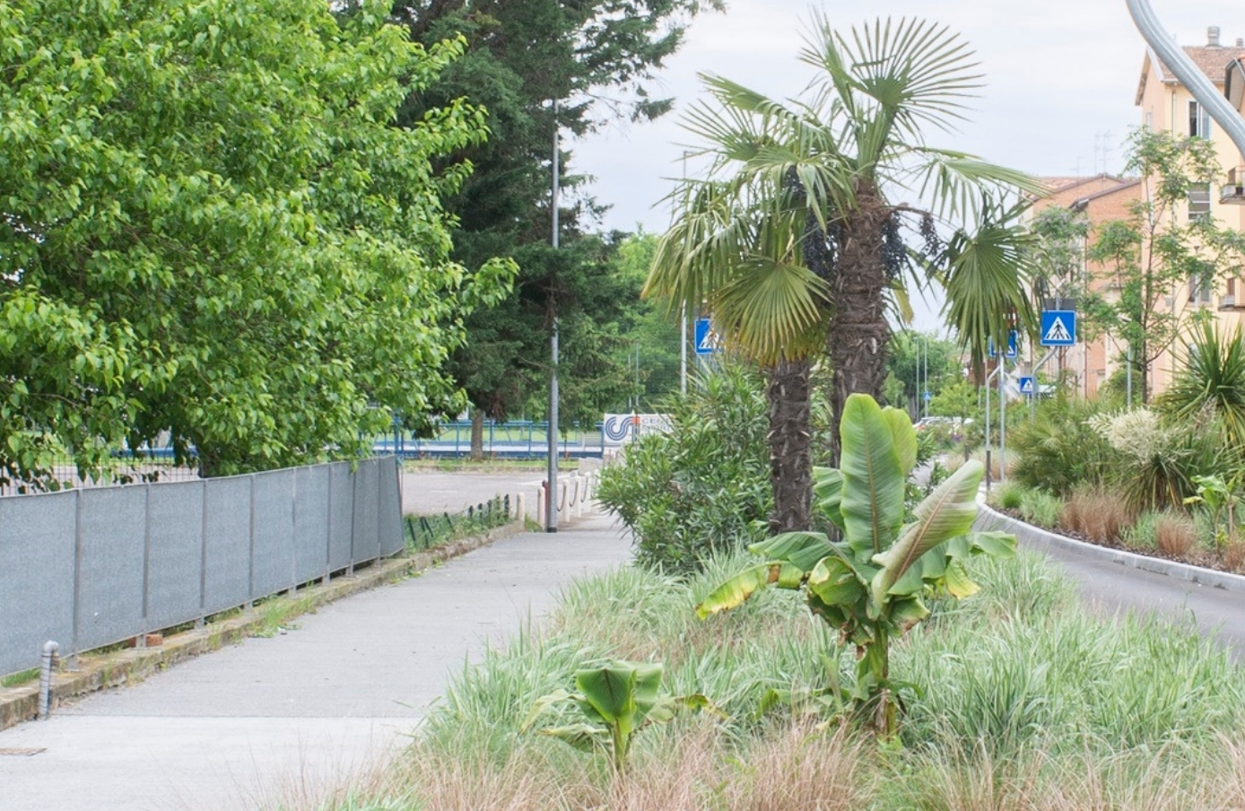 SU TOPSCAPE 64 AMADEI GARDEN STREET