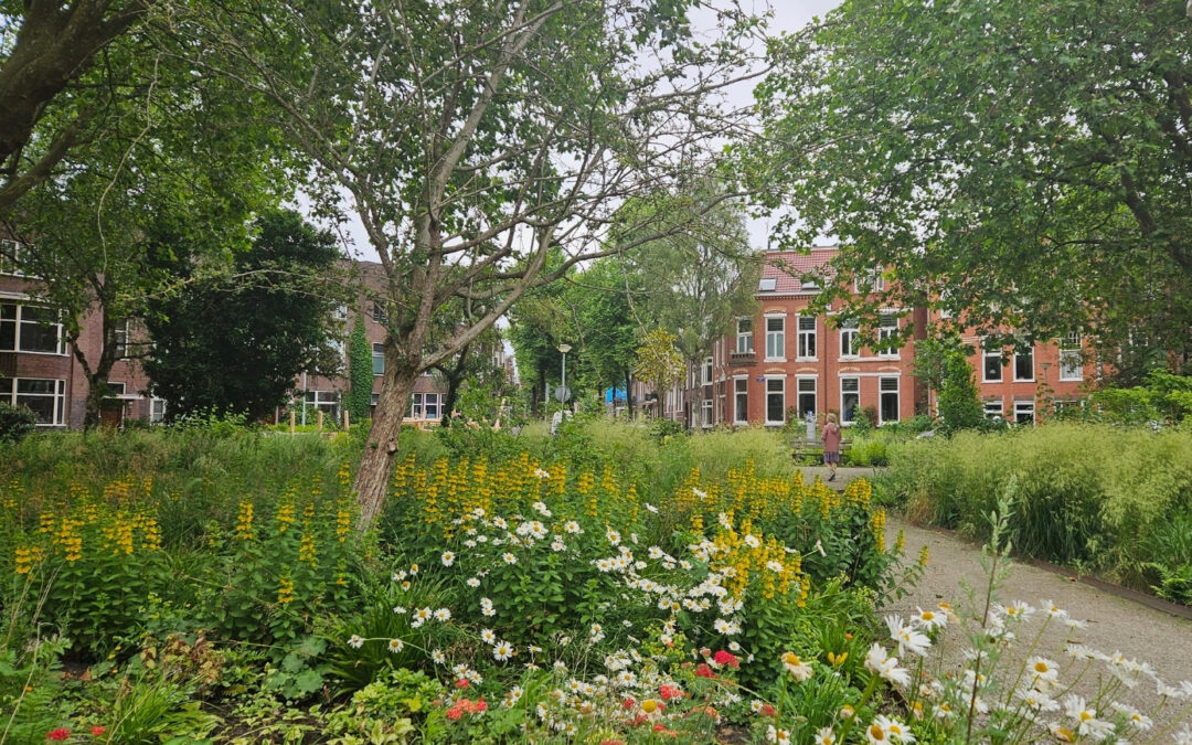 NEW SPACE – GRONINGEN GUIDELINES SU TOPSCAPE 64