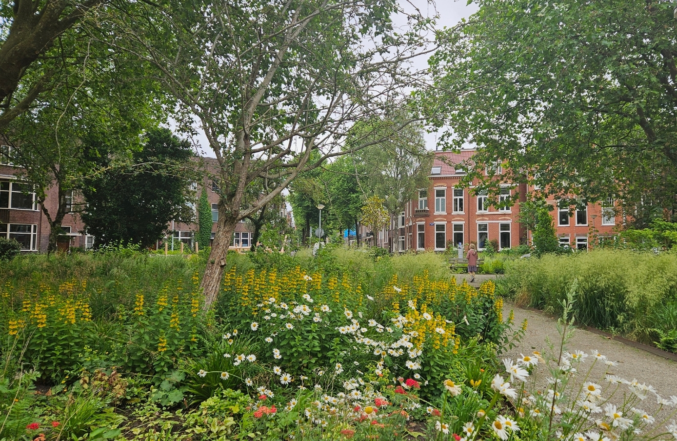 NEW SPACE – GRONINGEN GUIDELINES SU TOPSCAPE 64