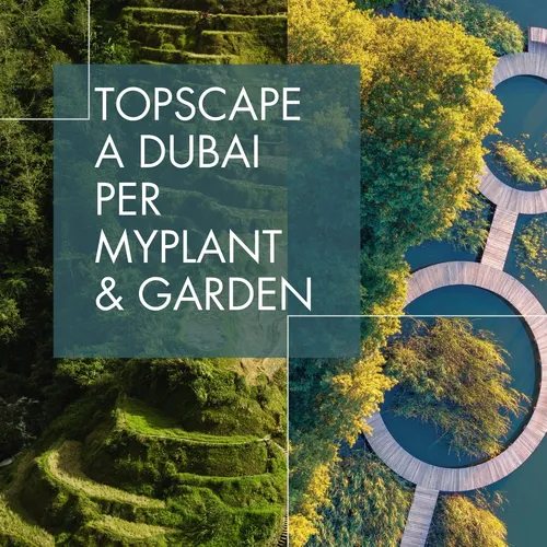 TOPSCAPE A DUBAI PER MYPLANT & GARDEN