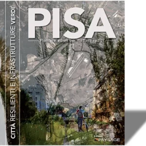 PISA - PIANTARE ALBERI PER METTERE RADICI