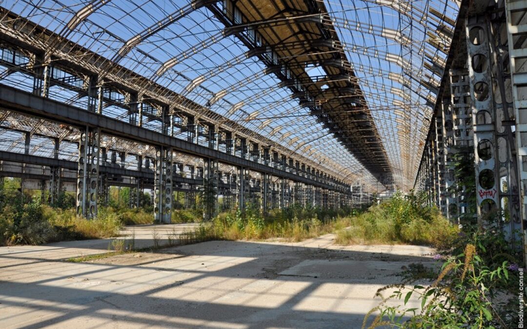 Global Award for Sustainable Architecture™ 2026