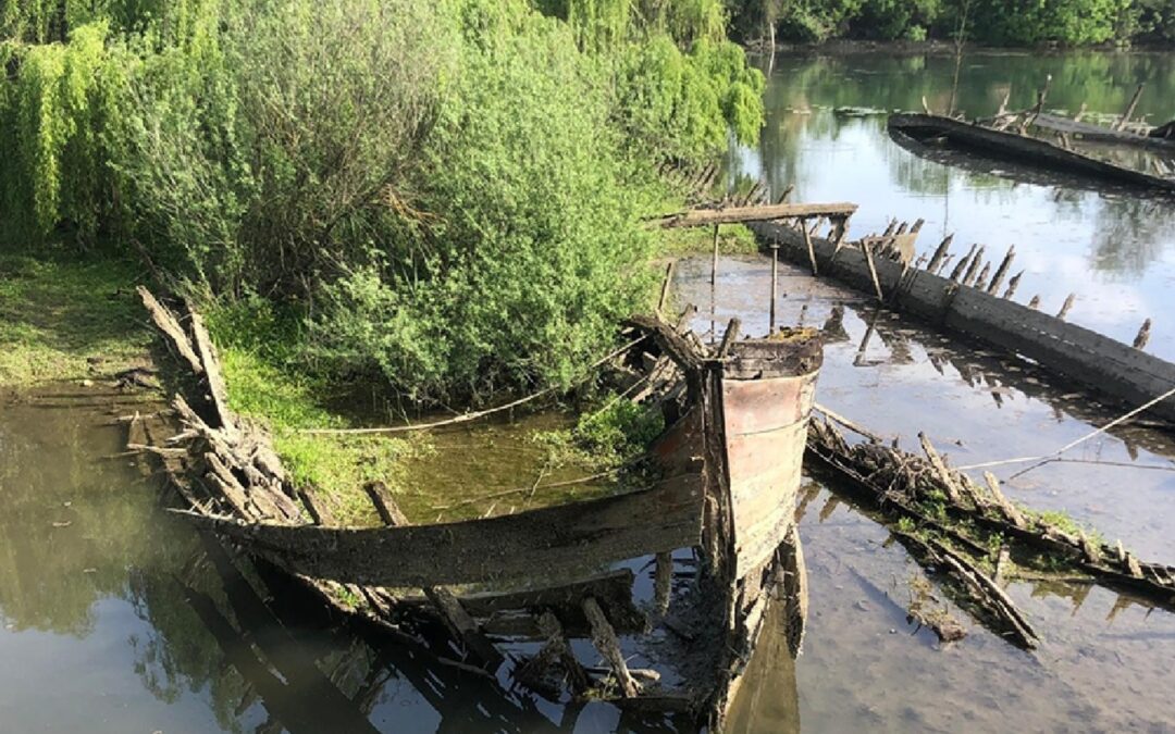 WORKSHOP FBSR: NUOVE ECOLOGIE E ARCHEOLOGIA DELLA NAVIGAZIONE LUNGO IL FIUME SILE