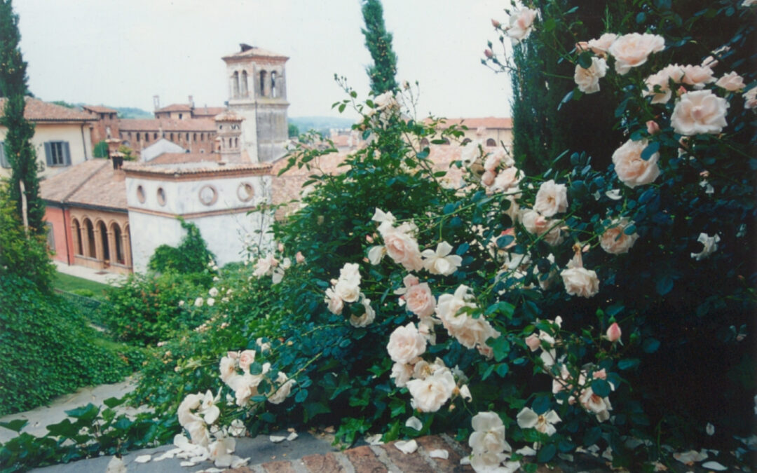VILLA MIMOSA GARDEN SU GIARDINO ITALIANO 13