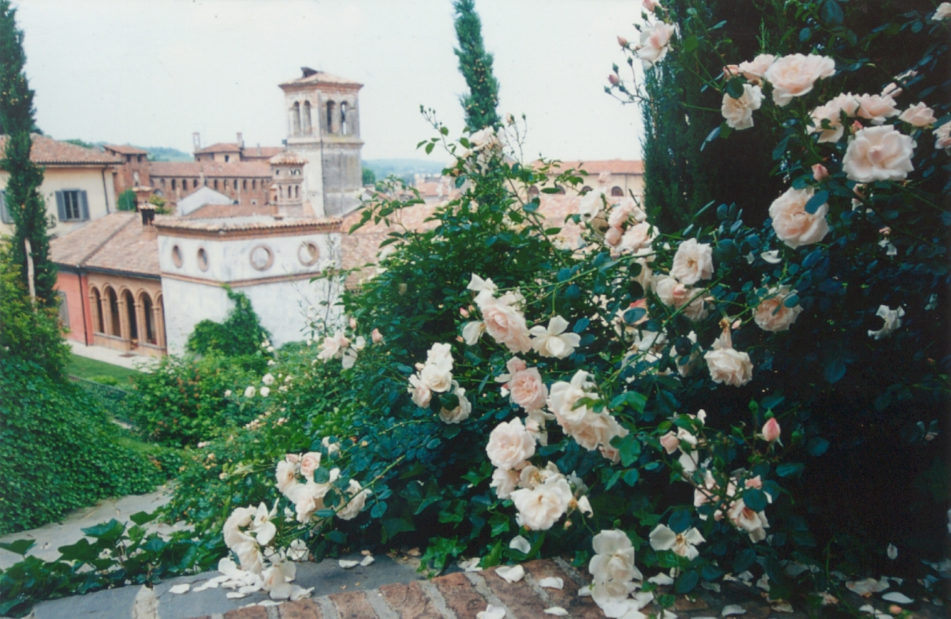 VILLA MIMOSA GARDEN SU GIARDINO ITALIANO 13