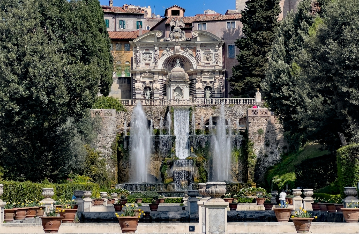 2_PANZINI