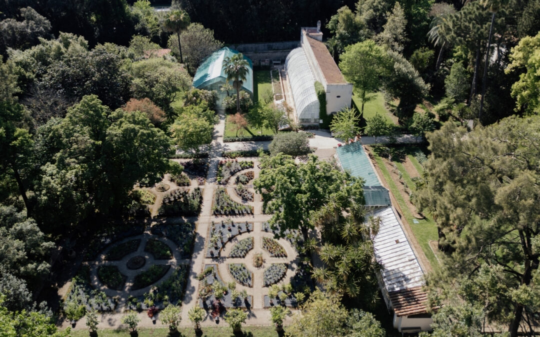 SU GIARDINO ITALIANO 13: REGGIA DI CASERTA – LE SERRE DI GRAEFER